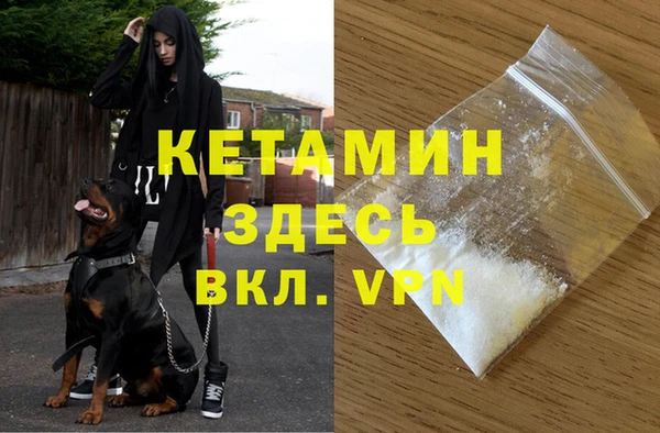 стаф Коряжма