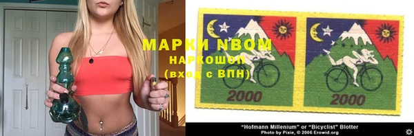 прущие грибы Бабаево