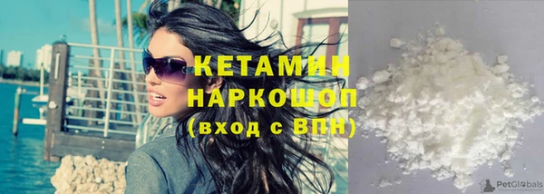 стаф Коряжма