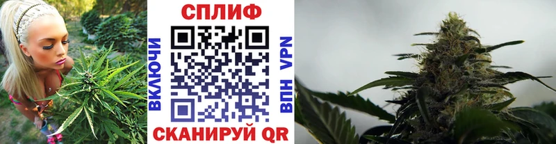 Купить  Волоколамск  Бошки марихуана сатива 